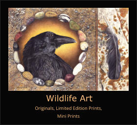 W W  Originals, Limited Edition Prints, Mini Prints Wildlife Art